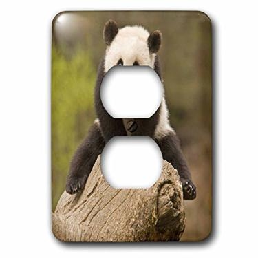 Imagem de 3dRose lsp_70238_6" China, Wolong Reserve, Baby Panda Bear On Stump Plug Cover