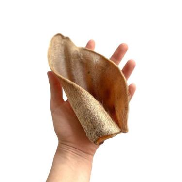 Imagem de Mordedor Natural Para Cães Orelha de Boi Luv  3 un.