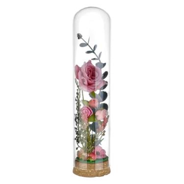 Imagem de BENECREAT Cloche de cúpula de vidro de 6 x 26 cm com base de cortiça, frascos decorativos de cúpula de vidro, frascos de sino para flor, planta, miniatura, decoração de casa
