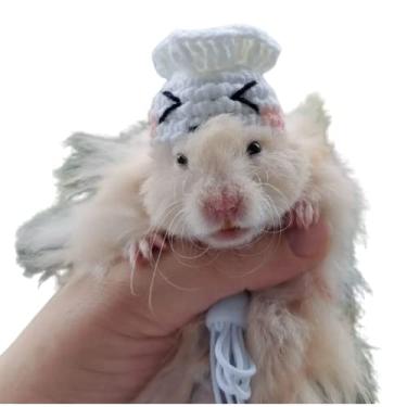 Imagem de Chapéu de hamster mini animais pequenos com alça ajustável adoráveis chapéus pequenos tricotados à mão para lagarto, porquinho-da-índia réptil roupas de festa de Natal acessórios de fantasia (pequeno, coque)