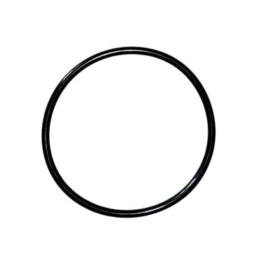 Imagem de R172009 O-Ring para Pentair modelo 320/322 Tampa de cloro de piscina e spa (1/pacote)