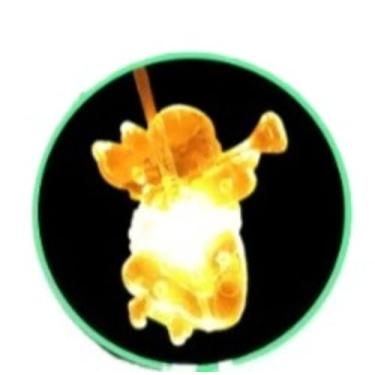 Imagem de Decoração de Natal para Jardim, 5 Bengalas de Led com Pingente decoração de Jardim Natal Pisca Espeto para Area Externa(Anjo)