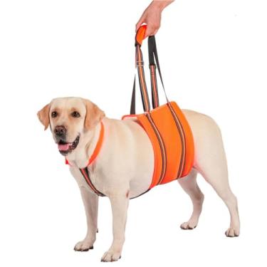 Imagem de HGTRH Arnês de suporte para cães, arnês de elevação com malha respirável ajustável para animais de estimação com dificuldade em caminhar, alívio da dor articular nas pernas traseiras/dianteiras L