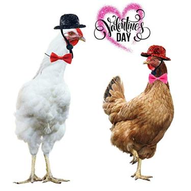 Imagem de Vehomy Chapéus de galinha e gravata borboleta para galinhas para o dia dos namorados chapéu de galinha com alça de queixo ajustável para aves, galinha, galo, papagaio de pato, 4 peças em um pacote (2 cartolas e 2 gravatas borboletas)
