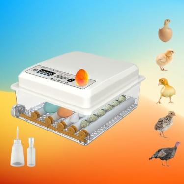 Imagem de Incubadora de 16 ovos com giro automático de ovos e controle de umidade, incubadoras para chocar ovos, frango, patos, gansos, pombos, codornizes, incubadora de papagaios para fazenda, laboratório