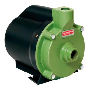 Imagem de Motobomba Residencial Schneider Bcr-2000 1/3 CV 220V