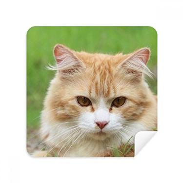 Imagem de Luvas amarelas Cat Stare Pet Animal Glasses Pano Limpador de Tela Tecido Camurça Pacote com 2