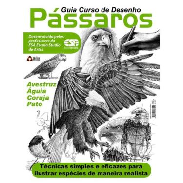 Imagem de Guia Curso De Desenho: Pássaros - Passo A Passo - Editora Online