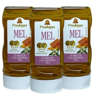 Imagem de Bisnaga 300g de Mel Flores de Uva Japonesa Kit com 3 - Prodapys