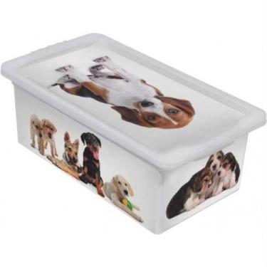 Imagem de Caixa Organizadora 5,5 Litros Cães Branca - OR16L-20 - SÃO BERNARDO - 
