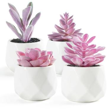 Imagem de Set de 4 Suculentas Artificiales VIVERIE Moradas en Macetas Blancas
