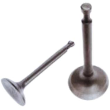 Imagem de Válvula Motor Diesel Ar 7Hp (Par)