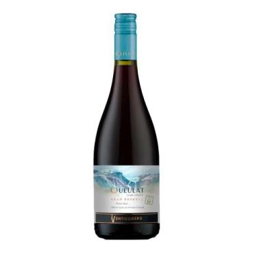 Imagem de Vinho Queulat Gran Reserva Pinot Noir 750ml - Ventisquero