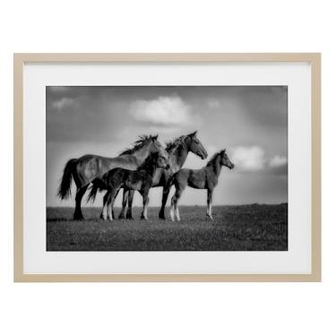 Imagem de Stupell Industries Impressão emoldurada Babies On Board Horse Family Birch Under Glass por Wendy Caro, 17 x 23