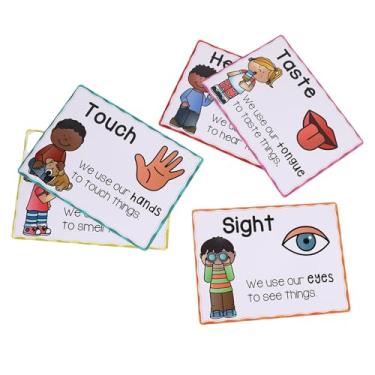 Imagem de TARSHYRY Pôster Dos Cinco Sentidos, Gráfico de Aprendizagem para Salas de Aula Com Revestimento Brilhante, Material Educacional de Papel Durável para Alunos Professores Decoração