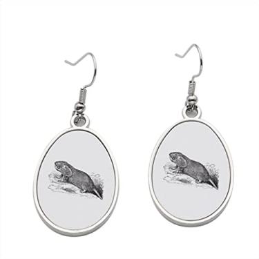 Imagem de Brinco de bolso simples Gopher ou Geomys Bursarius com gravação vintage - Brincos pendentes para meninas - Presente de festa de aniversário dos namorados
