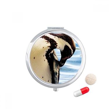Imagem de Caixa de comprimidos com imagem natural do pinguim da Antártica do oceano, caixa de armazenamento de medicamentos