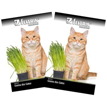 Imagem de 2X Sementes de Grama dos Gatos FELTRIN