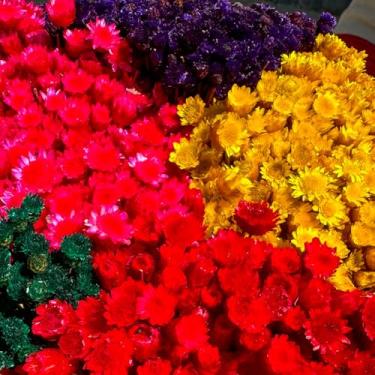 Imagem de Flor Sempre Viva Botão Jazida, Flores Secas Naturais para Decoração, Buquê Artesanal (ROXO)