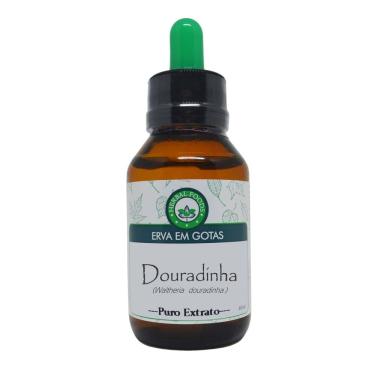 Imagem de Douradinha Do Campo - Extrato 60ml (tintura Mãe)