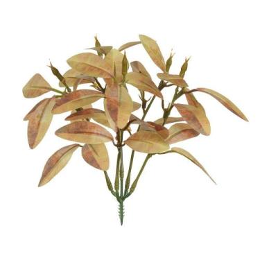 Imagem de FOLHAGEM FITTONIA FORRACAO X15 PURPURA OUTONO 16cm - Flor Arte