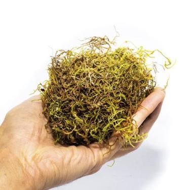 Imagem de 2kg Musgo Verde Desidratadas Decoração Arranjos Flores - AC