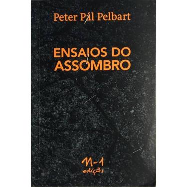 Imagem de Ensaios do assombro