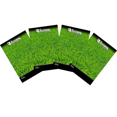 Imagem de FELTRIN, 4X Sementes de Grama Jesuíta São Carlos para Jardim FELTRIN