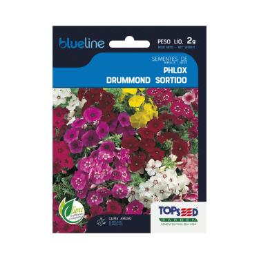 Imagem de Sementes de Phlox Drummond Sortido, Flores Coloridas, 2g, Clima Ameno