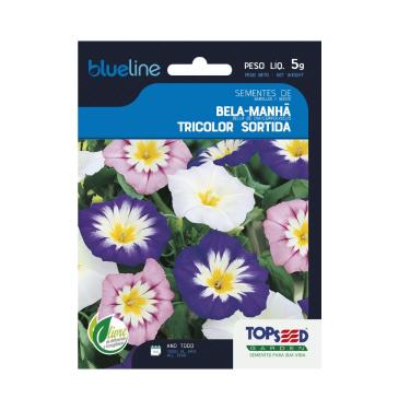 Imagem de Sementes de Bela-Manhã Tricolor Sortida, Flores Brancas, Roxas e Rosa, 5g, Cultivo Ano Todo