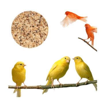 Imagem de Ração Vitamina Branca Mel Para Aves E Pássaros 5kg Nutrientes Calopsitas