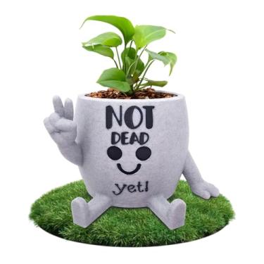 Imagem de Engraçado rosto vaso de cabeça interior, vaso de flores suculentas pequeno exclusivo, plantador de cacto fofo, decoração de casa interna, vaso de plantas de mesa de escritório, conjunto de presente de