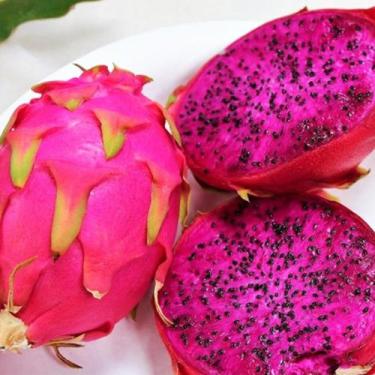 Imagem de Hylocereus costaricensis (Pitaya vermelha) - Sementes - Genérico