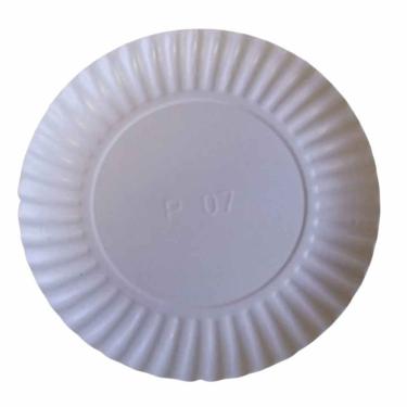 Imagem de Prato Descartável Redondo No 07 com 100 Unidades Papelão com Revestimento Plastificado liso-sólido para Refeições