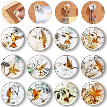 Imagem de Afagarly Pássaros fofos pinos de vidro para escritório beija-flor adoráveis tachas de polegar decorativas animais cortiça pinos para quadro de avisos tachinhas para parede sala de aula, decoração de