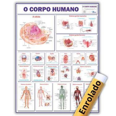 Imagem de Mapa Gigante Do Corpo Humano - Enrolado - Medicina - Anatomia - Enferm