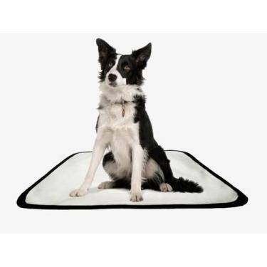 Imagem de Tapete Pet Reutilizável Educador Dog Oferta 3 Un P1 50X70Cm - Shelby M