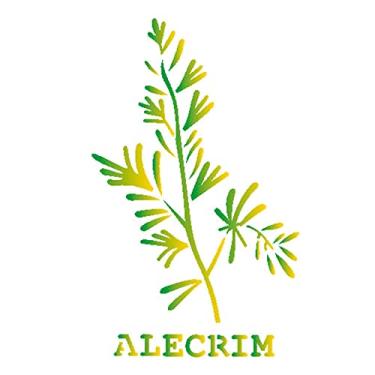 Imagem de Stencil de Acetato para Pintura OPA 14 x 14 cm - 2007 Tempero Alecrim