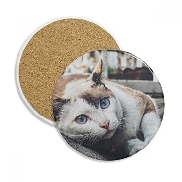 Imagem de Caneca de porta-copos com foto de gato colorida de animal Caneca de proteção de mesa Pedra absorvente