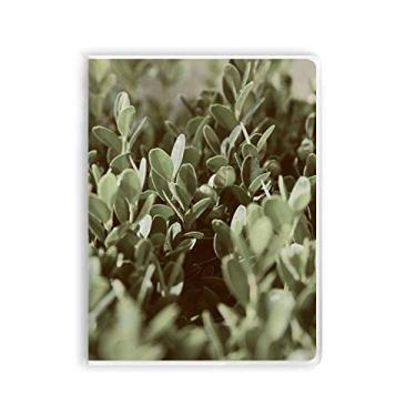 Imagem de Caderno de folhas de sol com imagem de plantas e capa macia Diário