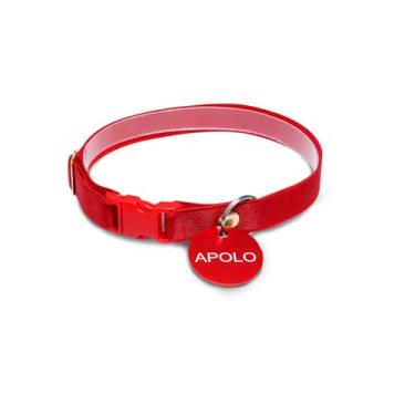 Imagem de Coleira Gatos Ajustável e Plaqueta Identificação Nome e Telefone PETS (Tamanho Filhote (14 cm a 24 cm))