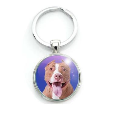 Imagem de Chaveiro Cão Pitbull Raça Canina American Pit Bull Terrier - RECANTOAS