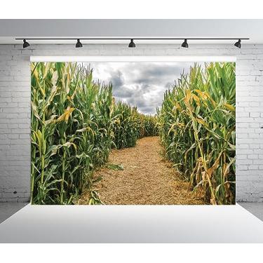 Imagem de BELECO Tecido 2,7 x 1,8 m Pano de fundo de milho verde labirinto de milho caules de milho fundo de colheita de fazenda outono planta agricultura tema celeiro decorações de festa adereços de foto