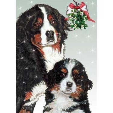 Imagem de Cartas de Natal Bernese Mountain Dog: 10 Cartas de Feriado com Envelopes Brancos - ADORÁVEL!