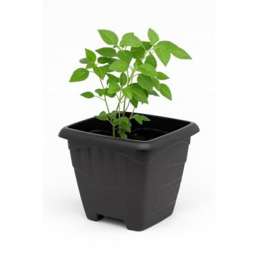 Imagem de Vaso de Planta 5,5 Litros em Plástico Preto Resistente para Jardim e Horta