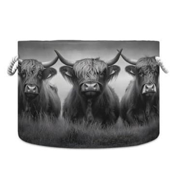 Imagem de JUZIHAI Cesta de armazenamento dobrável Highland Cows, cesto de roupa suja para bebê, cobertor com alças de corda de algodão, caixa organizadora de armário dobrável para quarto, berçário, casa, 50 x