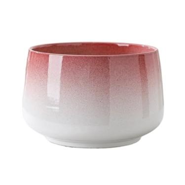 Imagem de macetes para plantas Vaso de flores. Combina bem com orquídeas, cactos, suculentas, babosa, manjericão, plantas aéreas e espada-de-são-jorge para casa de jardim