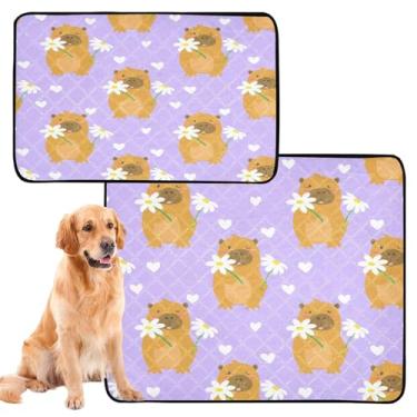 Imagem de CEBUGI Almofadas de xixi laváveis para cães, pacote com 2, almofadas impermeáveis para filhotes de cachorro, antiderrapantes, à prova de vazamento, para cama de cercadinho, capivaras de desenho