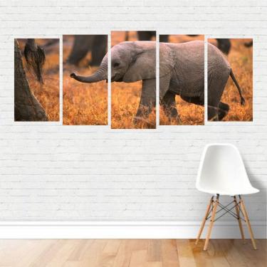 Imagem de Quadro Animais Elefante Filhote Mamífero Herbívoro Canvas