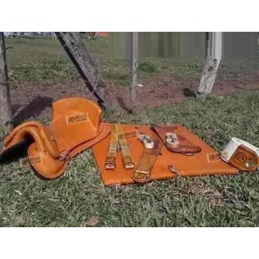 Imagem de KIT 10x peças Sela Freio De Ouro Arreio Cavalo Crioulo Laço - SELARIA 